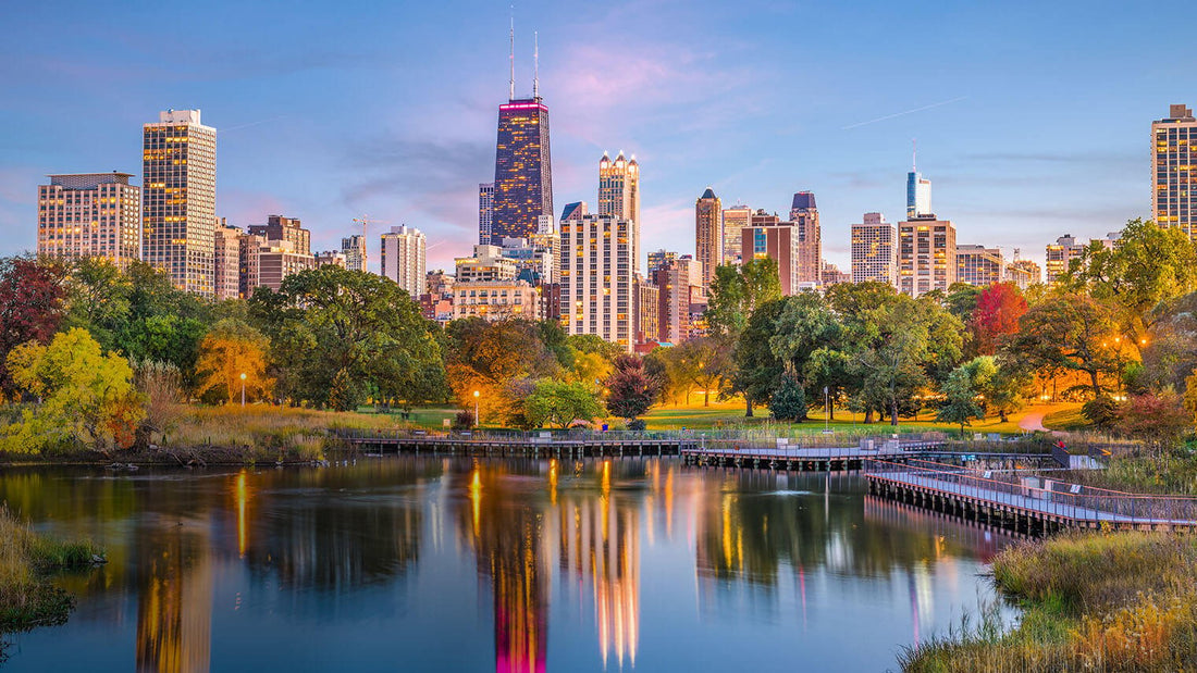 Chicago Growing Tips: What Every Beginner Gardener Should Know
