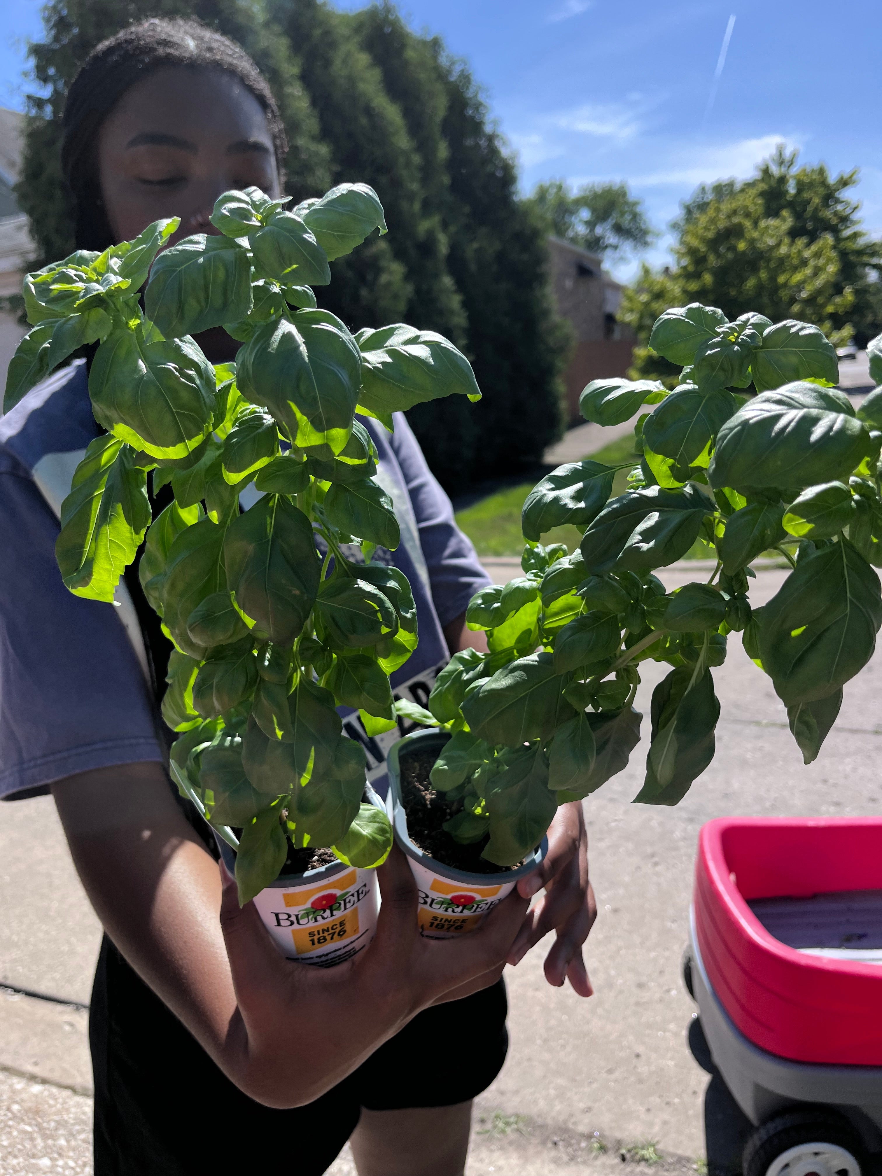 Plant Rescue & Rehoming Program